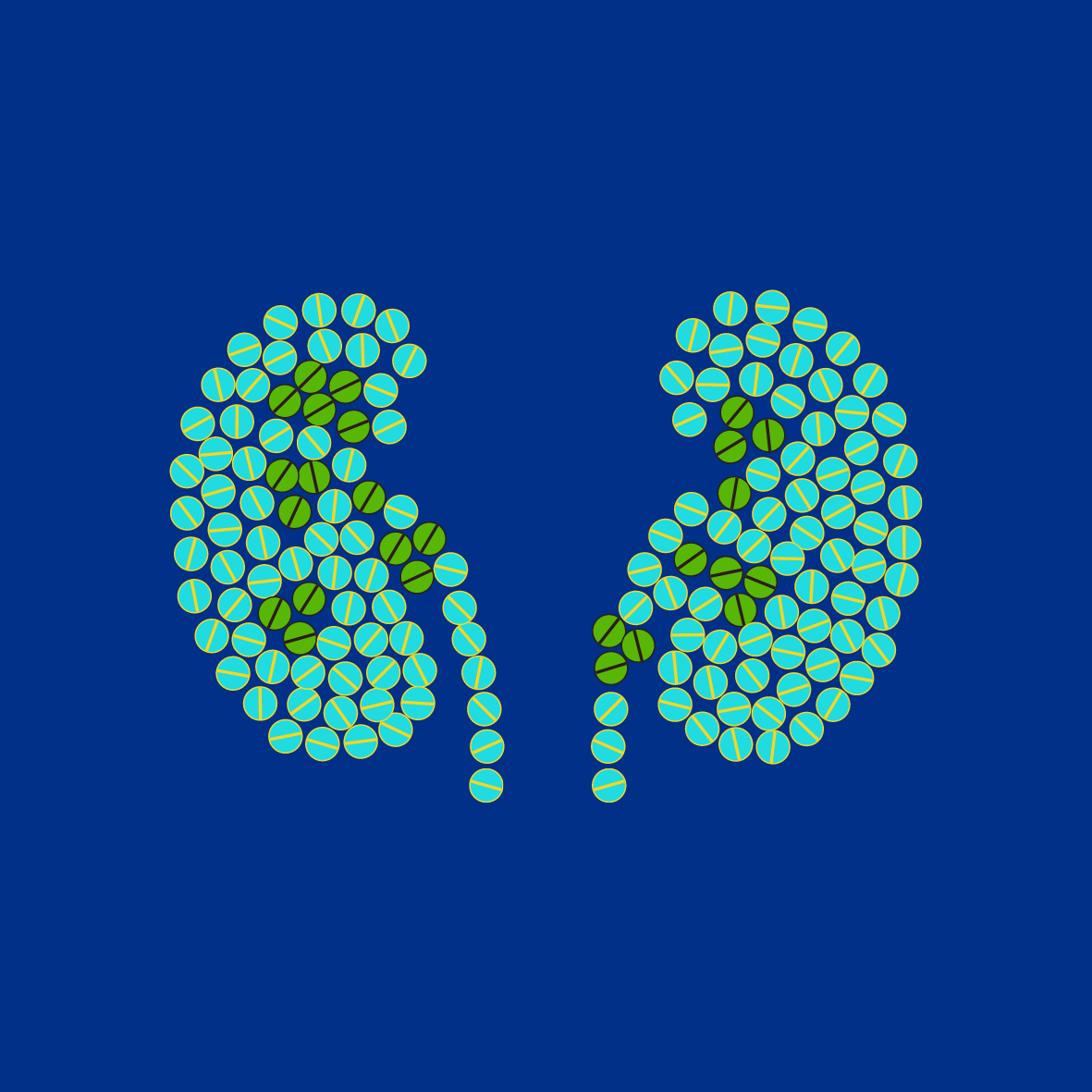 A Kidney Disease Symbol