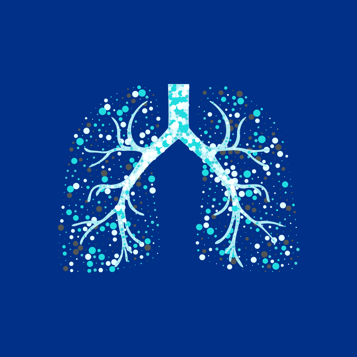 Image of Lungs to Represent COPD