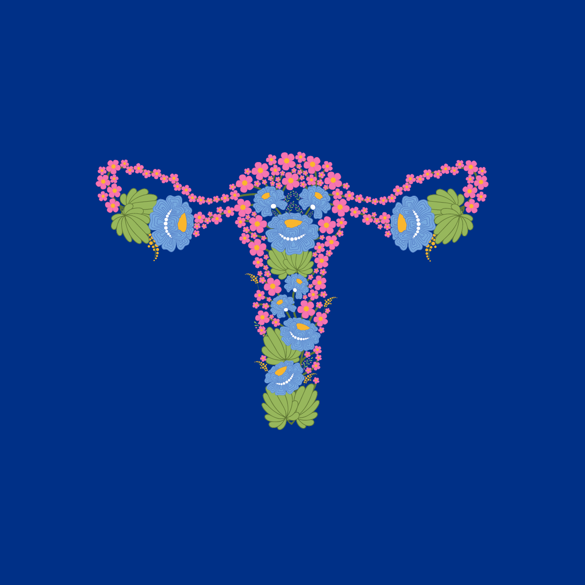 Image of Uterus Filled With Flowers